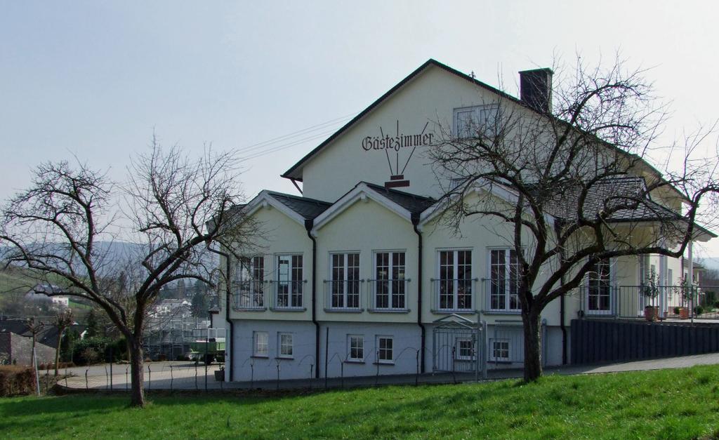 Wein & Gaestehaus Rosenlay Lieser Exterior foto